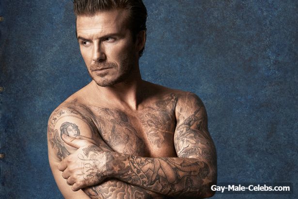 dottie wilkinson recommends david beckham sex tape pic