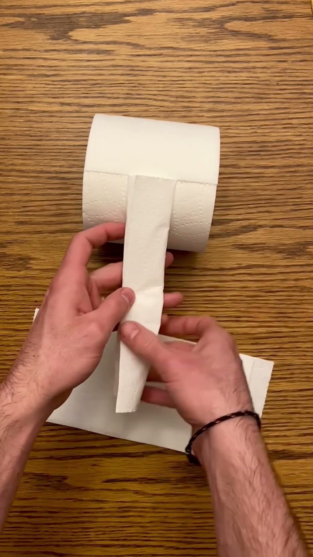 dillon dil recommends toilet paper girth test pic