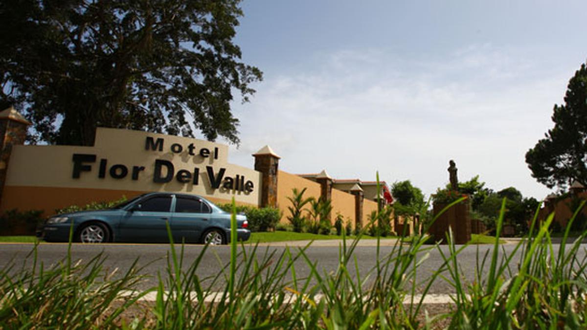 dee wilburn recommends motel flor del valle pic