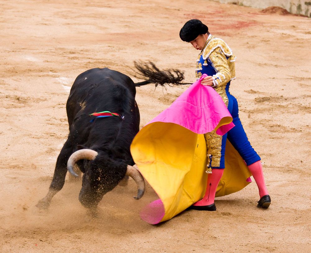 bull fights gone bad