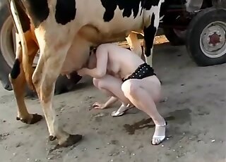 Women And Cow Sex gwen nude