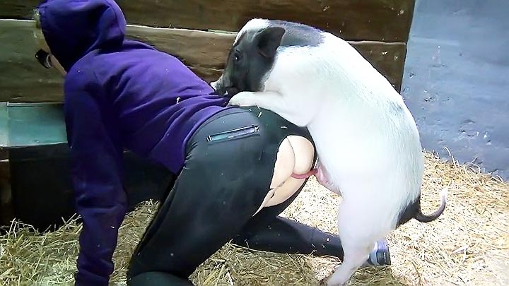 girl fucked by pig