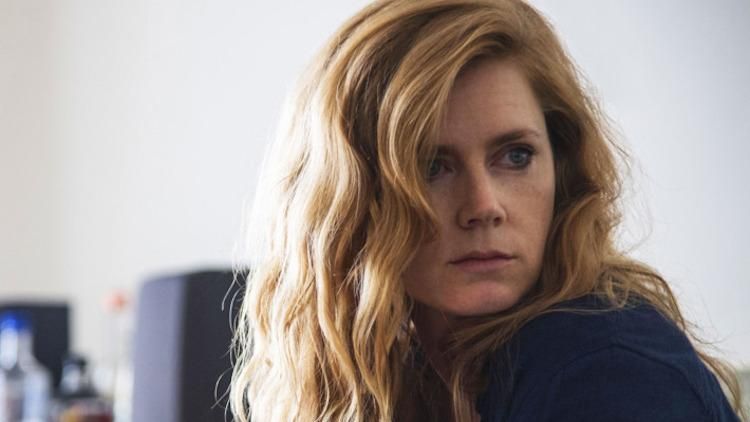 bob dahm recommends amy adams lesbian scene pic