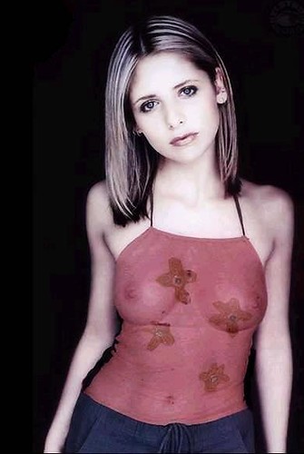 Sarah Gellar Nude Pics ferguson pin