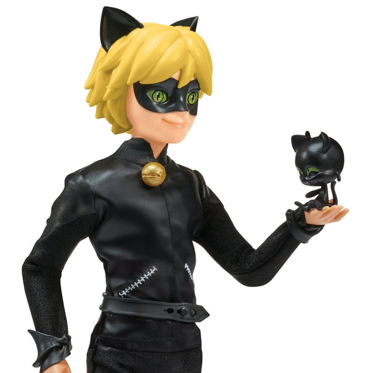 chat noir pictures