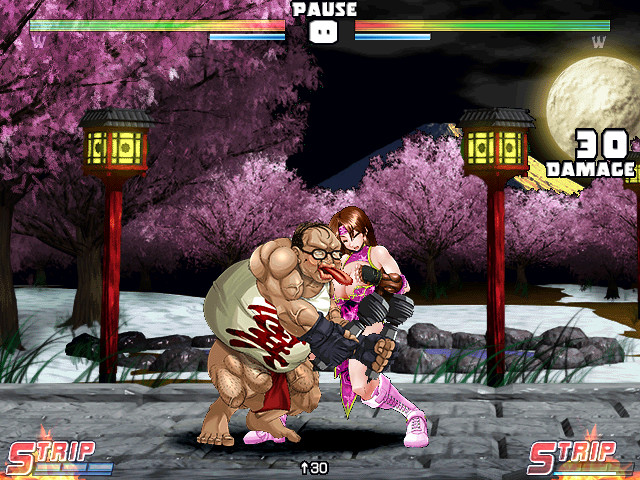 Super Strip Fighter 4 moore porn