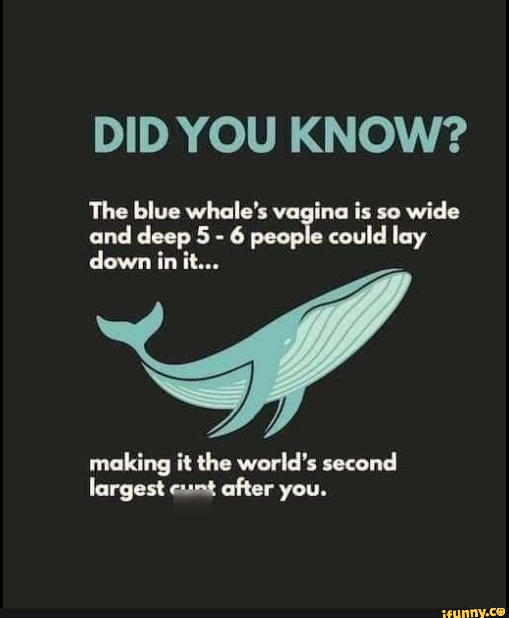 Best of How big is a whale vagina