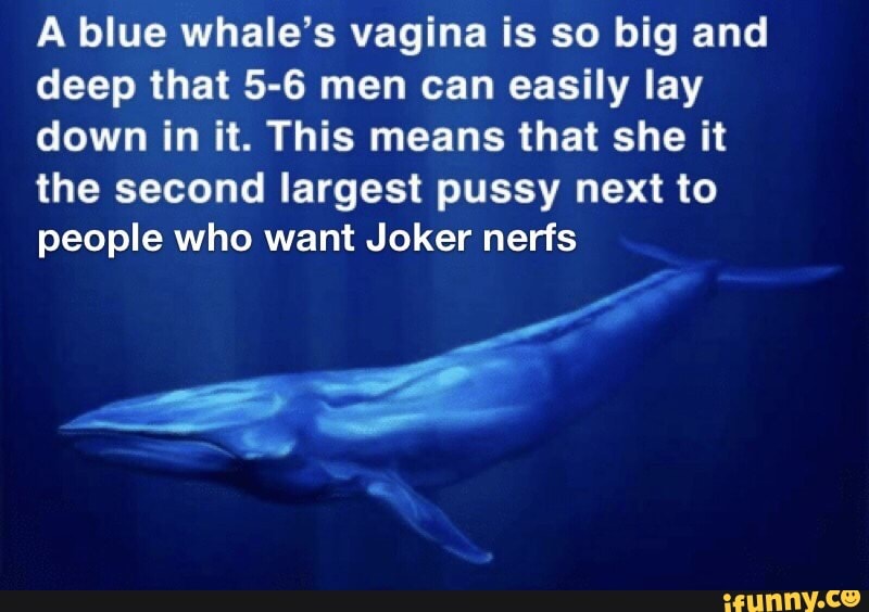 deborah waymire add photo how big is a whale vagina