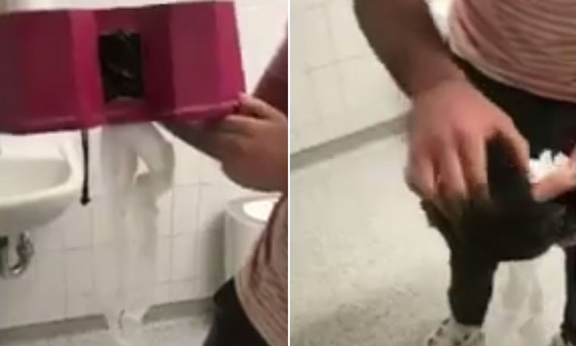 allan greenhalgh share secret camera in toilet photos